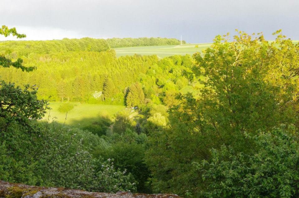 B&B Chez Fouchs - Chambre D'Hotes Dun-sur-Meuse Екстериор снимка