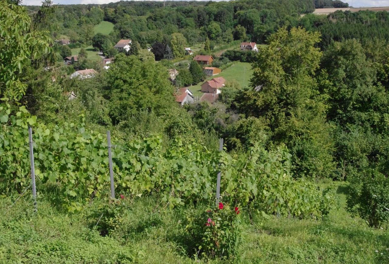 B&B Chez Fouchs - Chambre D'Hotes Dun-sur-Meuse Екстериор снимка